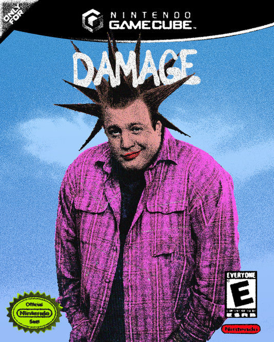 DAMAGE VIDEO GAME (PRINT)